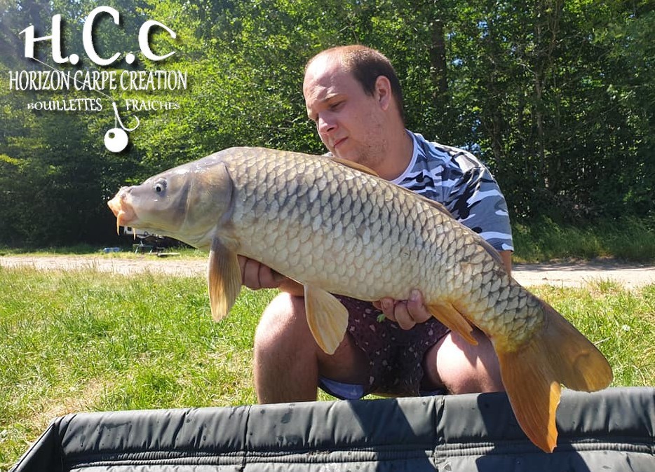 CHRISTOPHER LANSON - TEAM HCC