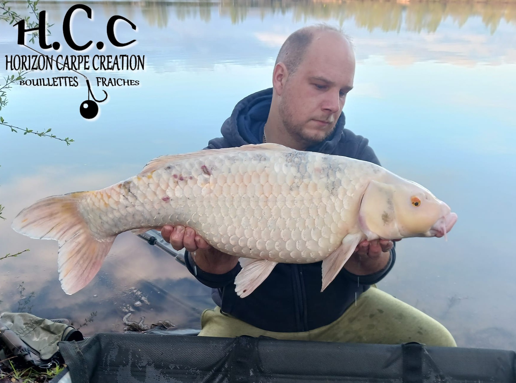 CHRISTOPHER LANSON - CONSULTANT HCC