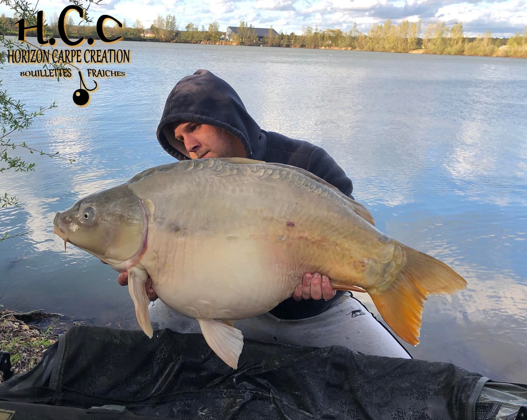 CHRISTOPHER LANSON - CONSULTANT HCC