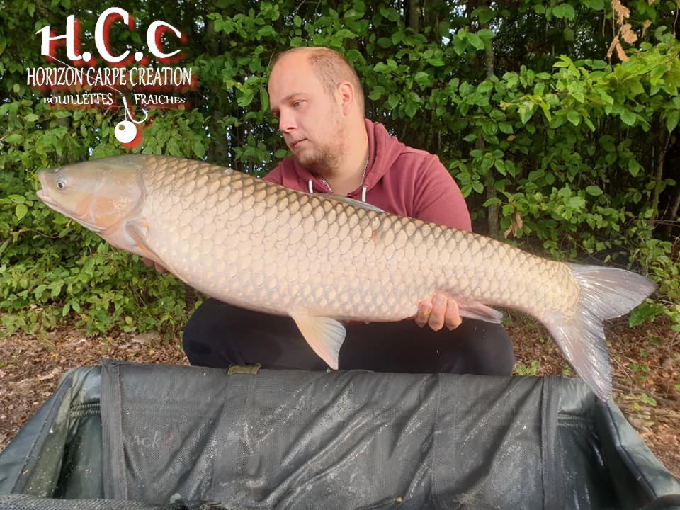 CHRISTOPHER LANSON - TEAM HCC