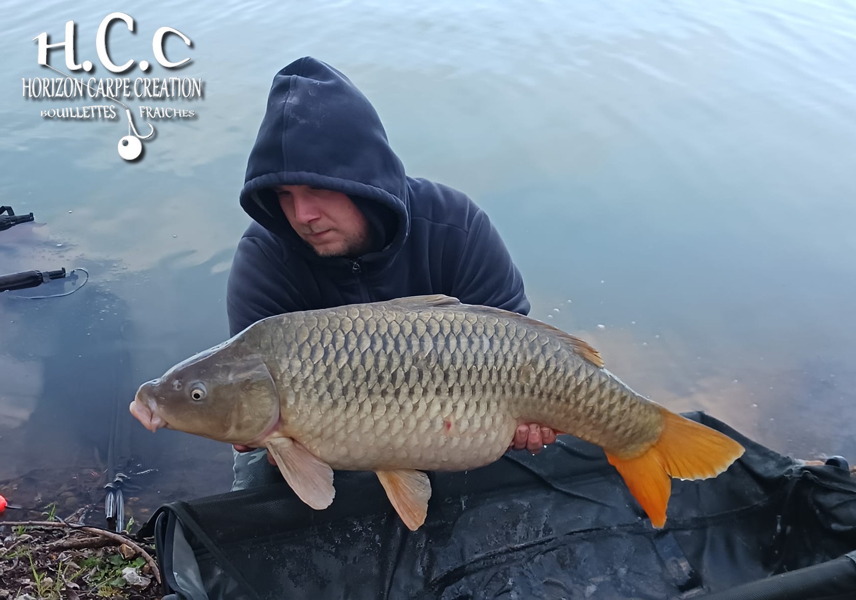 CHRISTOPHER LANSON - CONSULTANT HCC