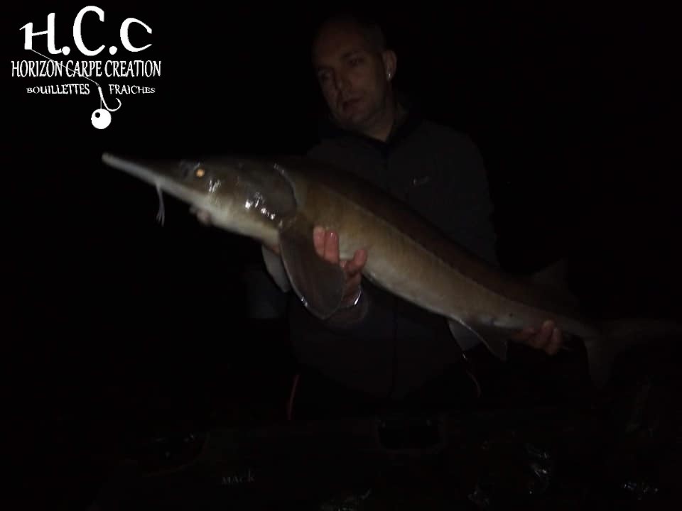 Client hcc