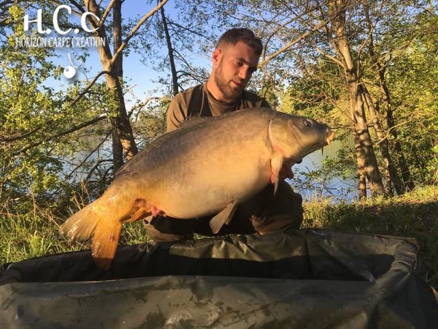 CLIENTS HCC