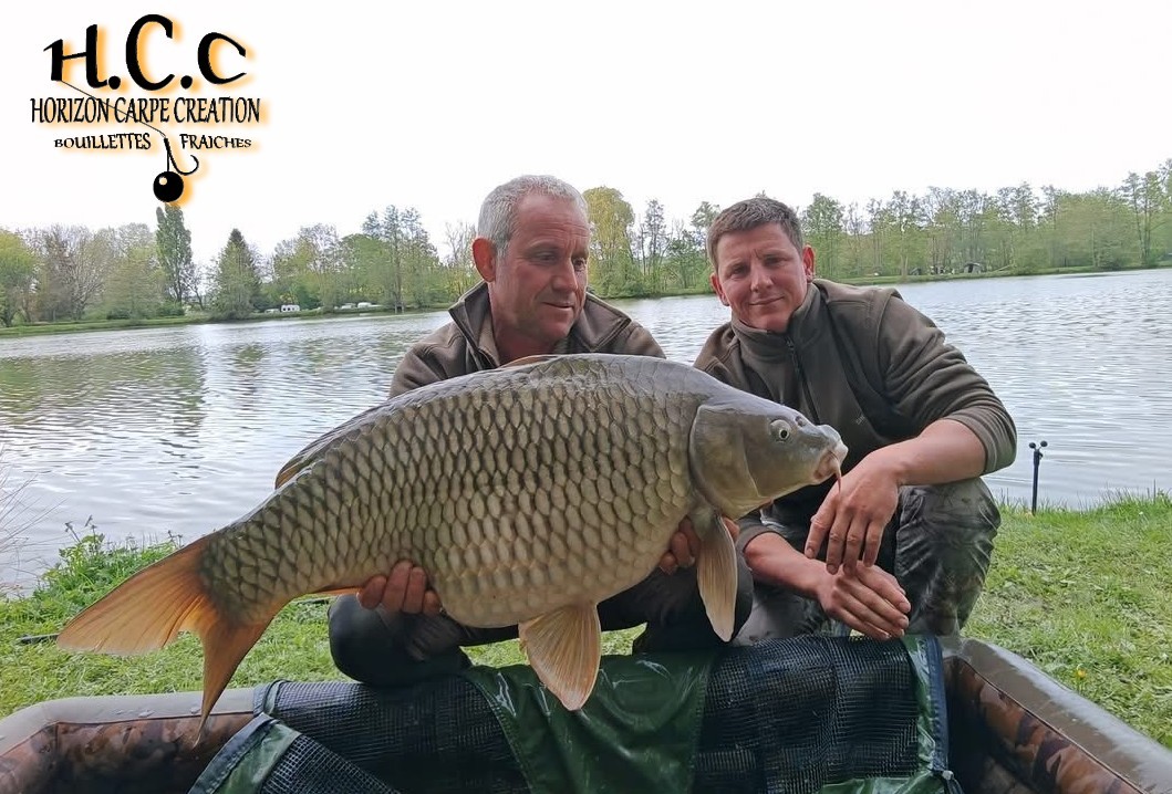 CYRIL ET MANU NACQUEMOUCHE - CONSULTANTS HCC