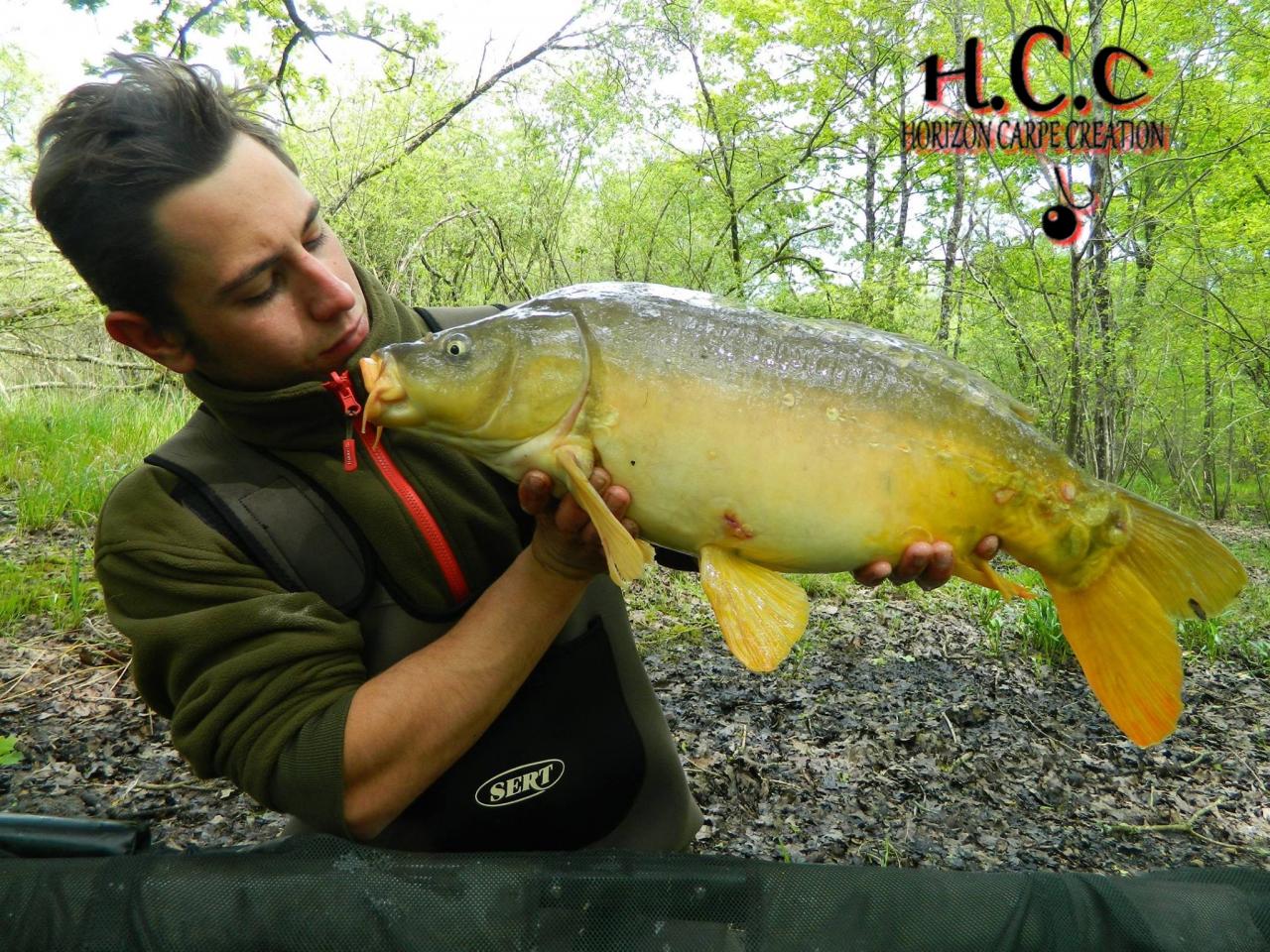 CYRIL DA COSTA - CONSULTANT HCC