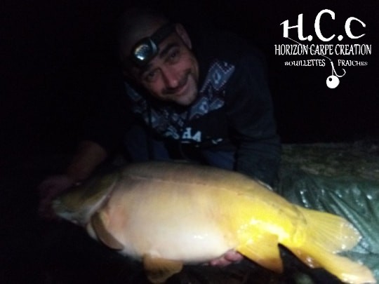 DAMIEN DAVID - CLIENT HCC