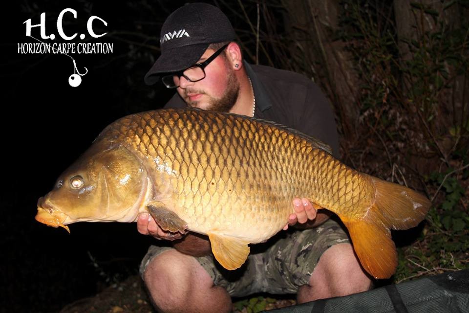 DANIEL DIASPIRES - TEAM HCC ALSACE