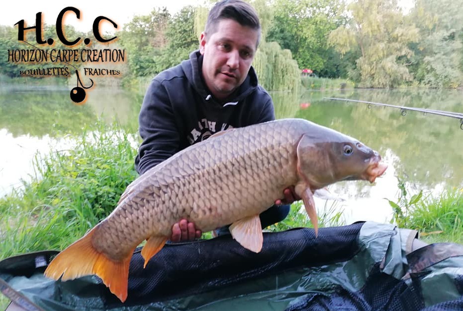 DAVID KNIGHT - TEAM HCC