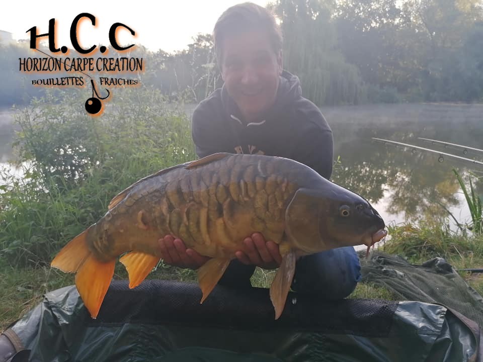 DAVID KNIGHT - TEAM HCC