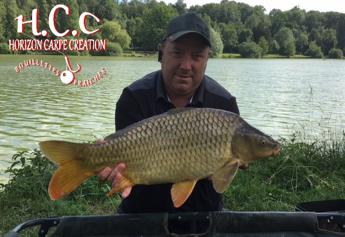 DAVID - CLIENT HCC