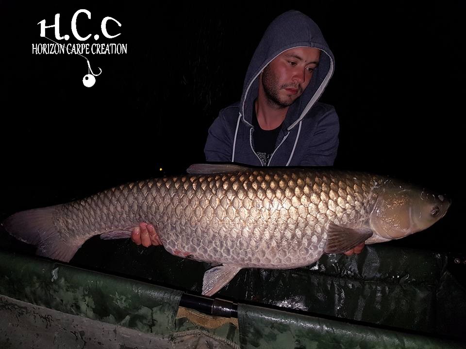 DONOVAN MEHAIGNOUL - JEUNE HCC