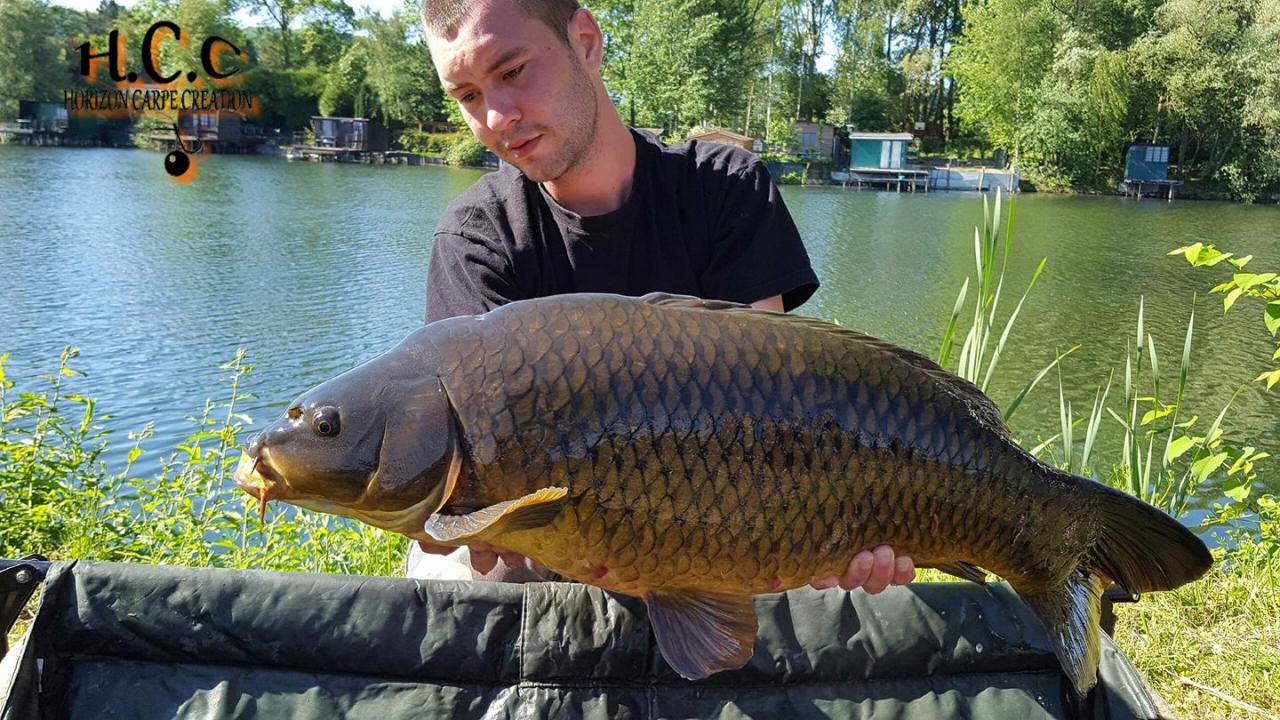 DONOVAN MEHAIGNOUL - JEUNE HCC