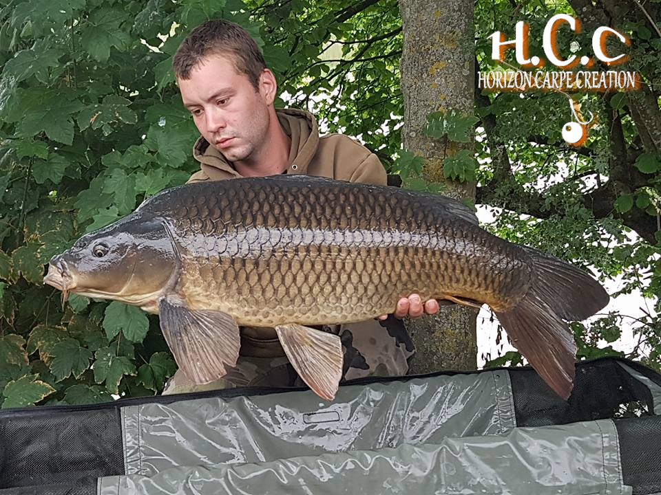 DONOVAN MEHAIGNOUL - JEUNE HCC