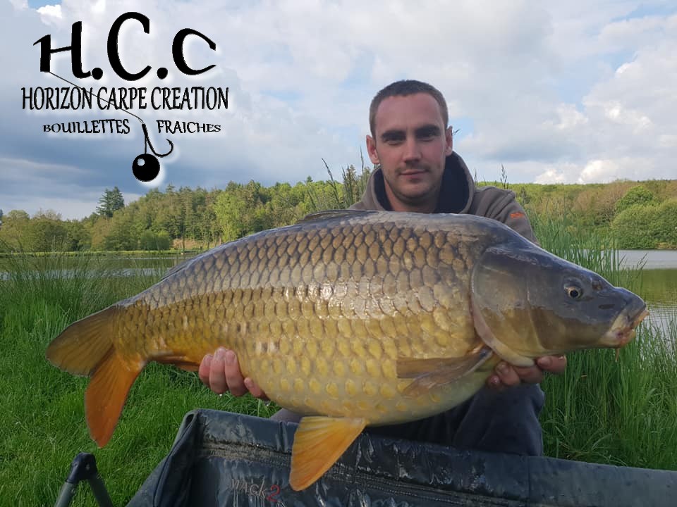 ELIE BOR - TEAM HCC