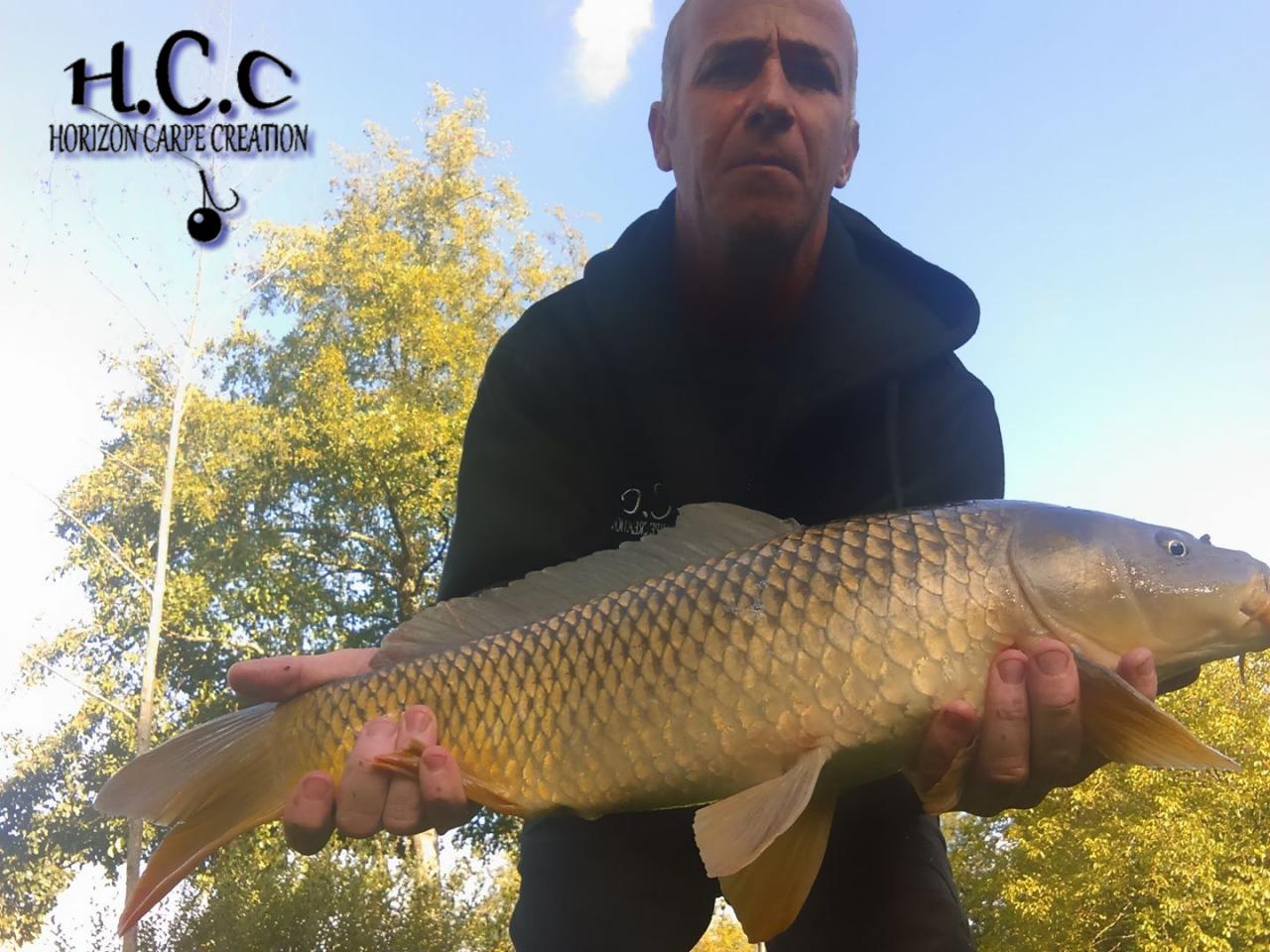 FABIEN MAITRE - CONSULTANT HCC