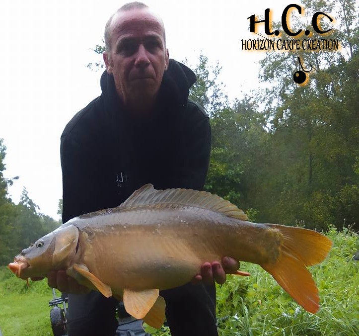 FABIEN MAITRE - CONSULTANT HCC