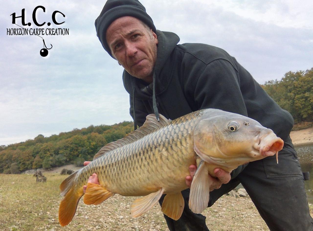 FABIEN MAITRE - CONSULTANT HCC