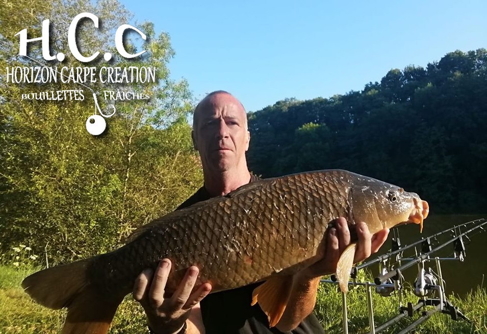 FABIEN MAITRE - CONSULTANT HCC