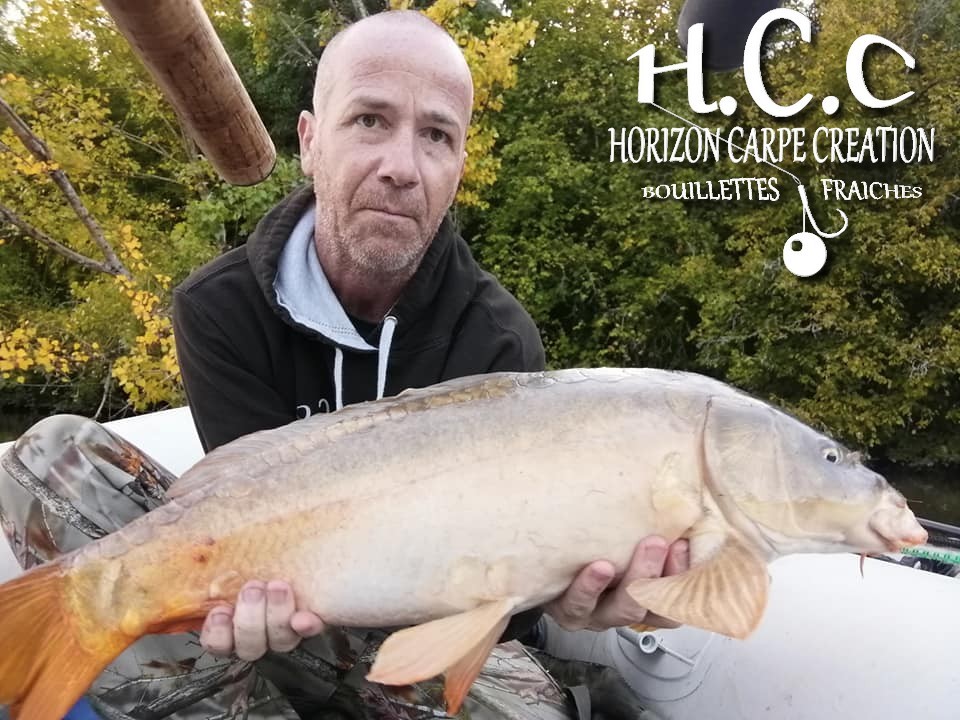 FABIEN MAITRE - CONSULTANT HCC