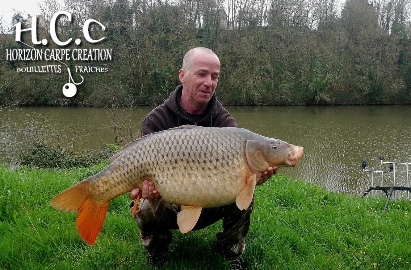 FABIEN MAITRE - CONSULTANT HCC