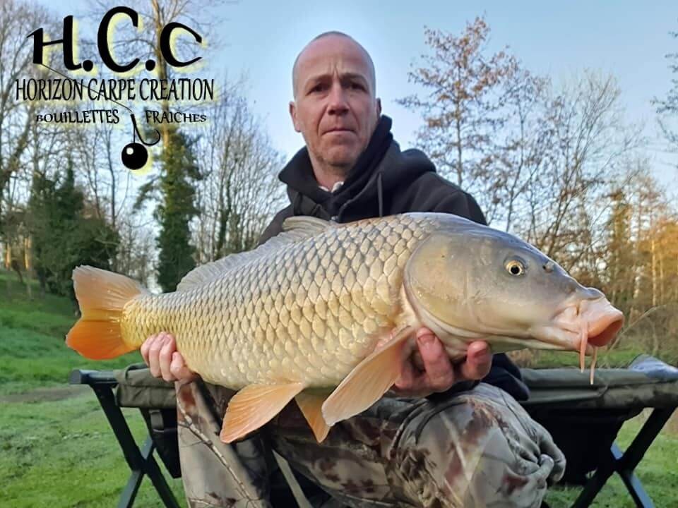 FABIEN MAITRE - CONSULTANT HCC