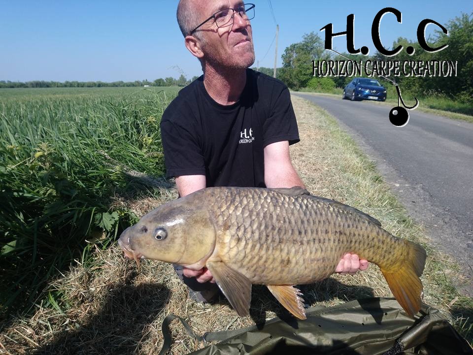 FABIEN MAITRE - CONSULTANT HCC