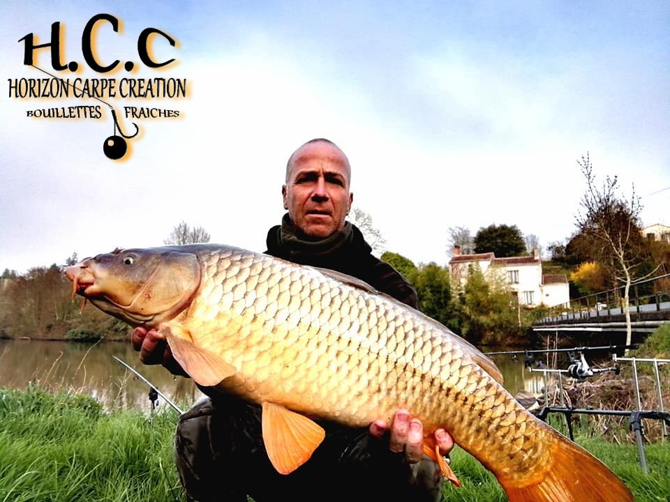FABIEN MAITRE - CONSULTANT HCC