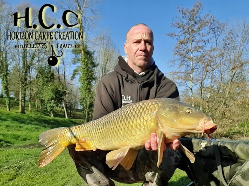 FABIEN MAITRE - CONSULTANT HCC