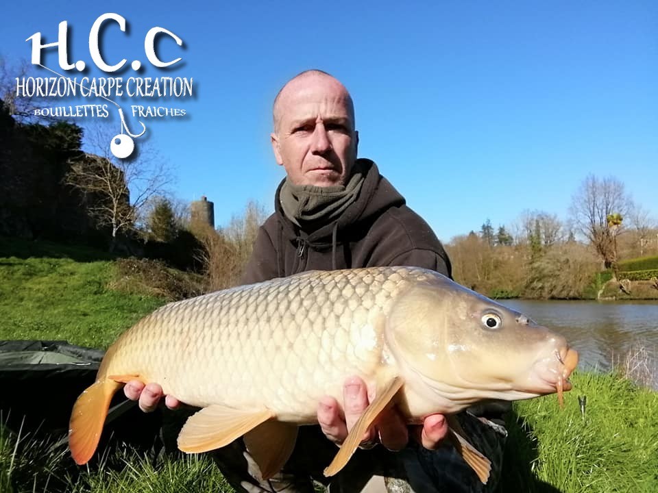 FABIEN MAITRE - CONSULTANT HCC