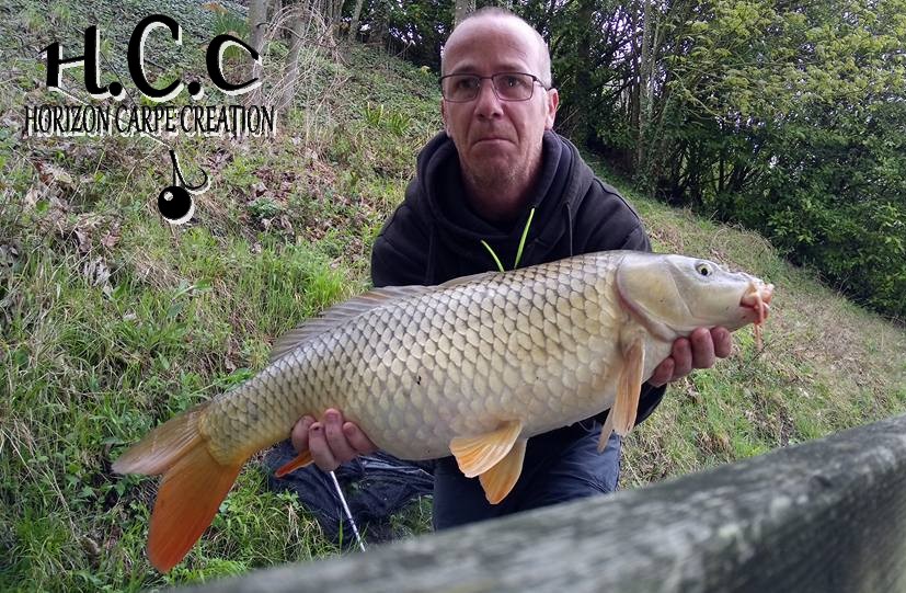 FABIEN MAITRE - CONSULTANT HCC