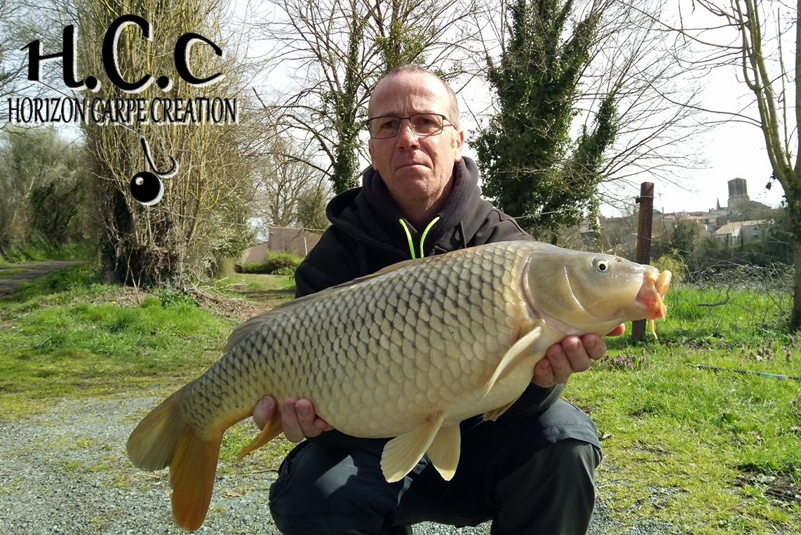 FABIEN MAITRE - CONSULTANT HCC