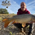 FABIEN MAITRE - CONSULTANT HCC
