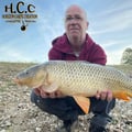 FABIEN MAITRE - CONSULTANT HCC