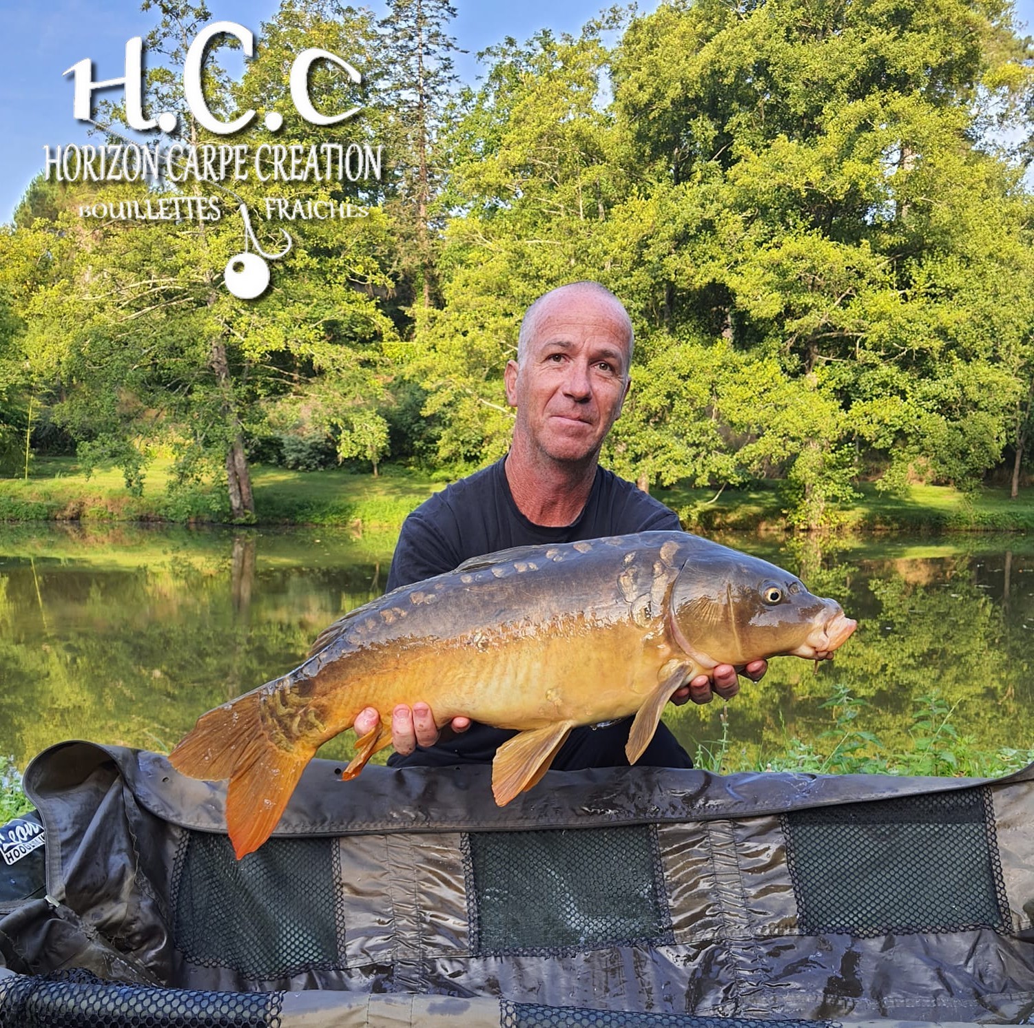 FABIEN MAITRE - CONSULTANT HCC
