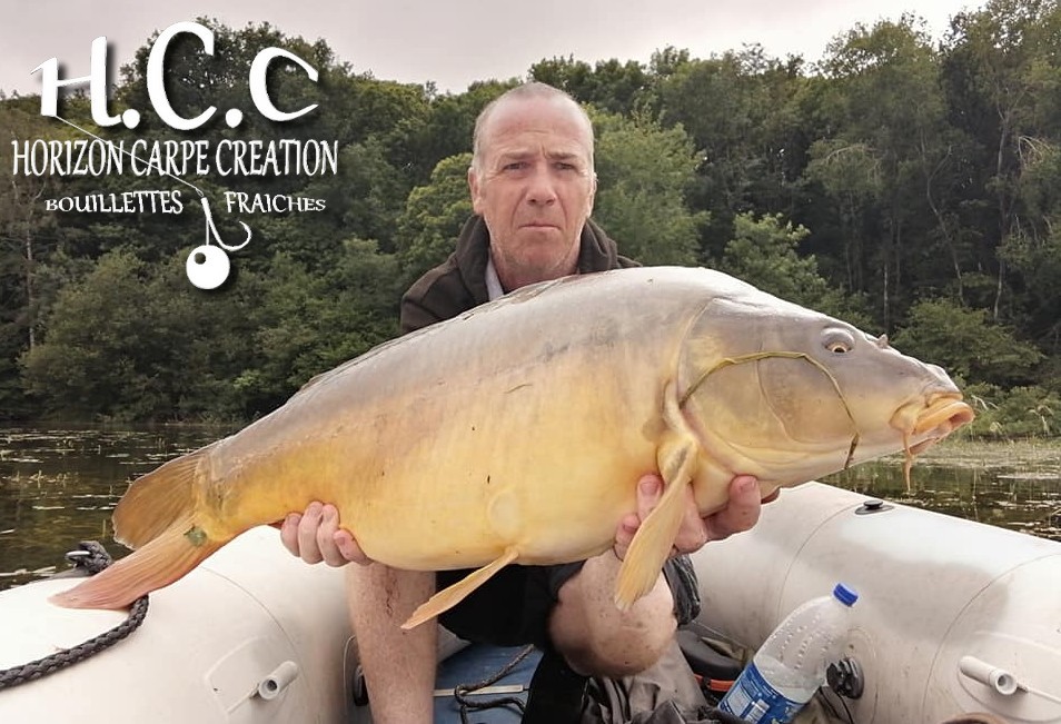 FABIEN MAITRE - CONSULTANT HCC