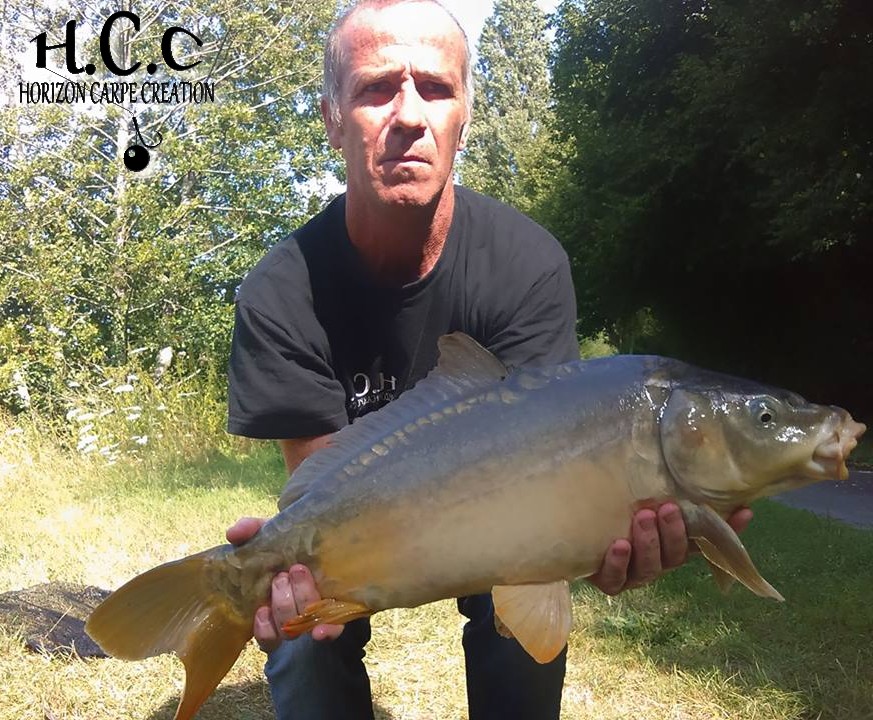 FABIEN MAITRE - CONSULTANT HCC