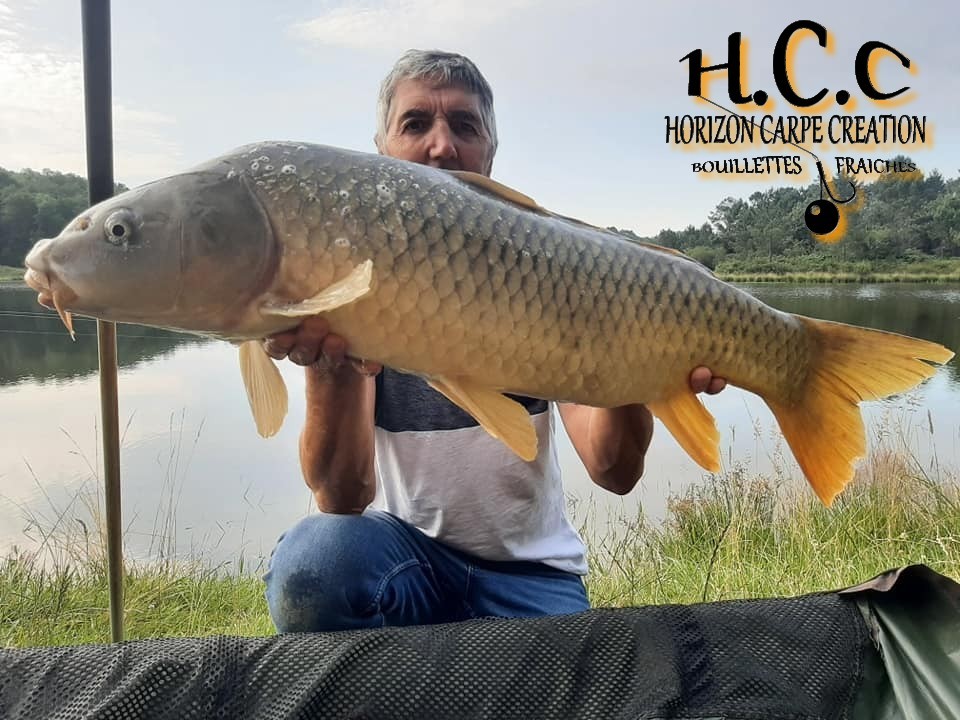 FABRICE - CLIENT HCC