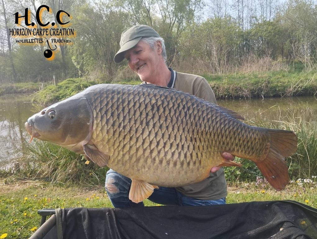 FABRICE - CLIENT HCC