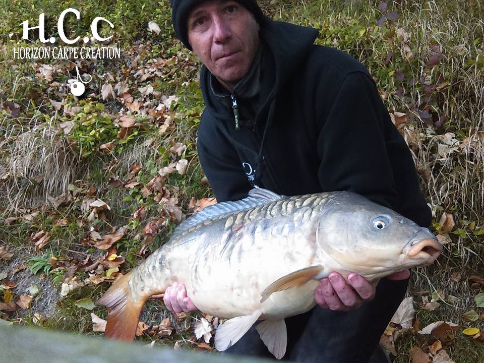 FABIEN MAITRE - CONSULTANT HCC