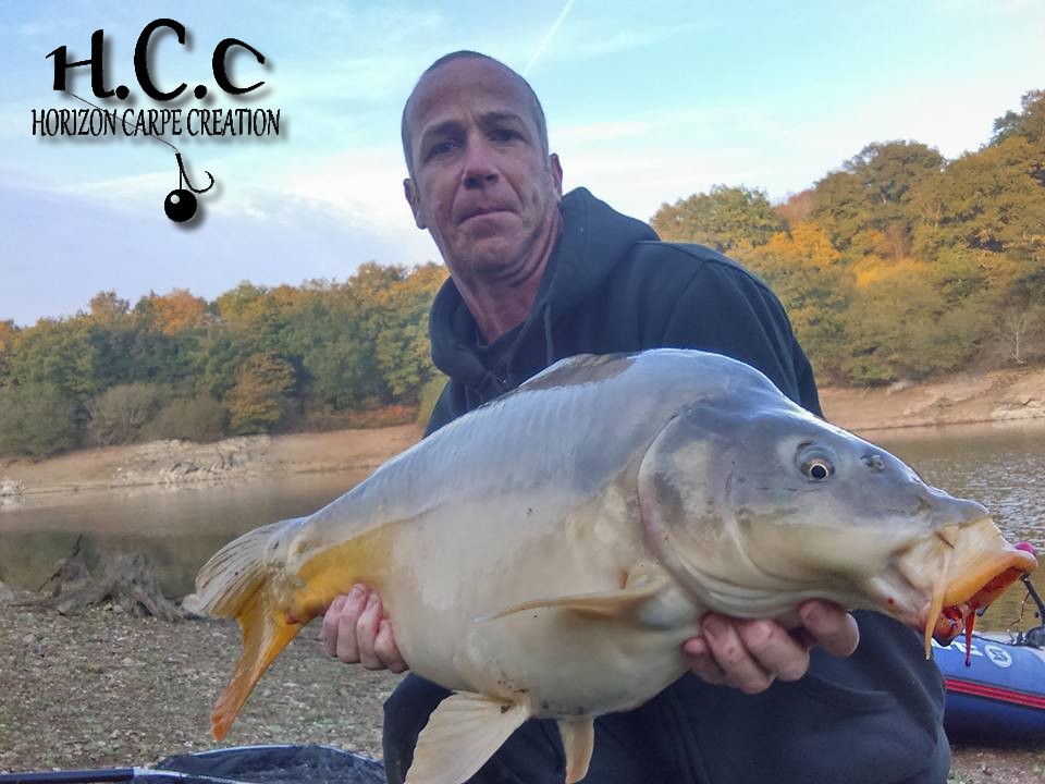 FABIEN MAITRE - CONSULTANT HCC