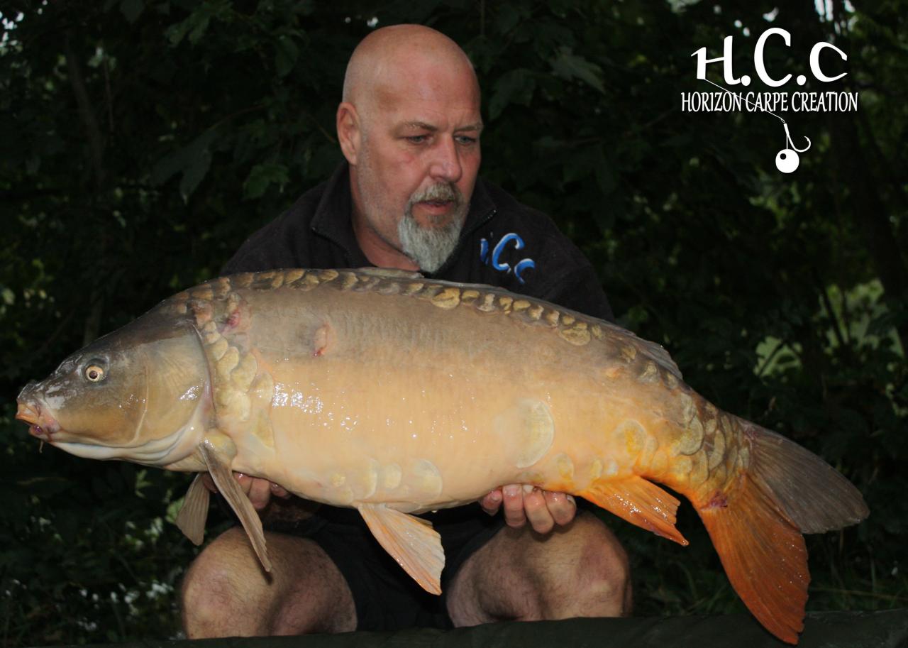 PHILIPPE MONTEGU - HCC