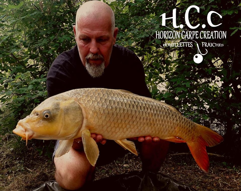 PHILIPPE MONTEGU - HCC