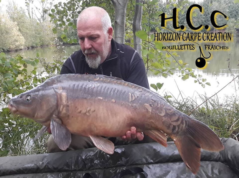 PHILIPPE MONTEGU - HCC