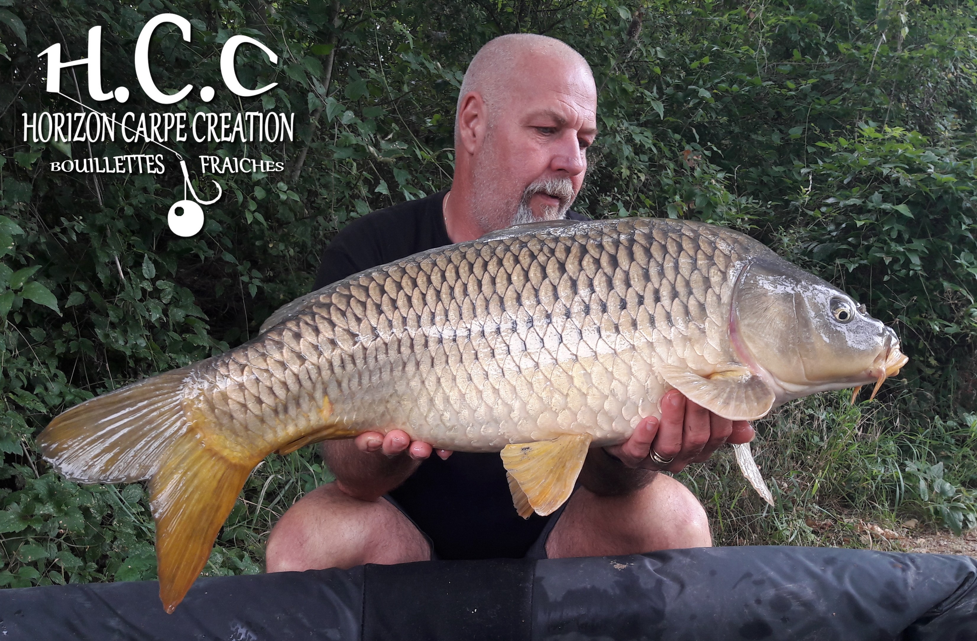 PHILIPPE MONTEGU - HCC