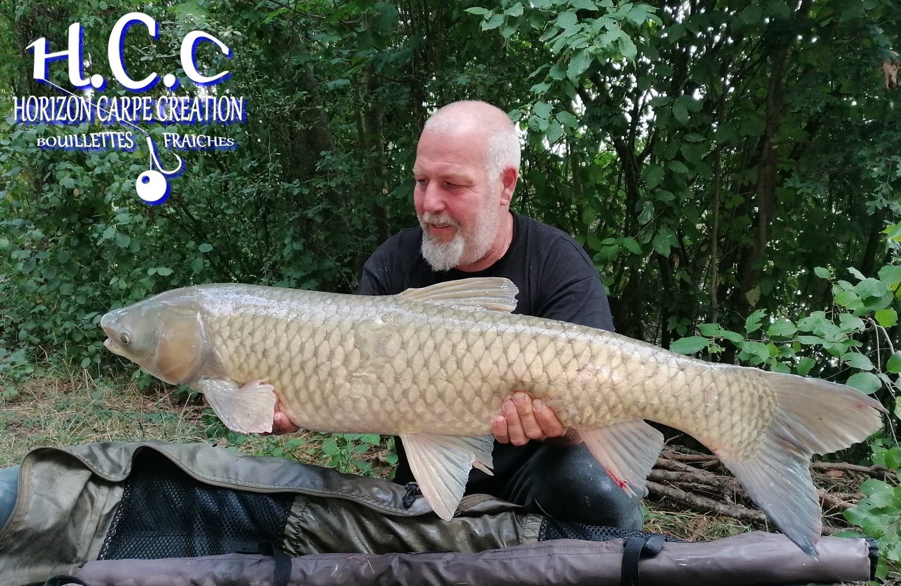PHILIPPE MONTEGU - HCC