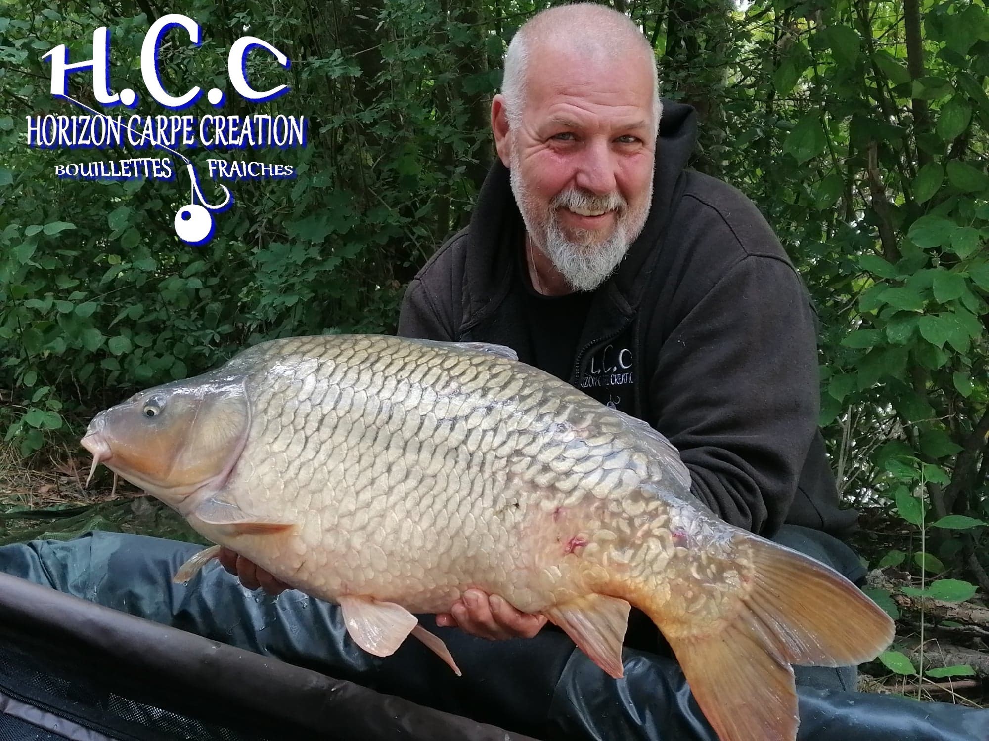 PHILIPPE MONTEGU - HCC
