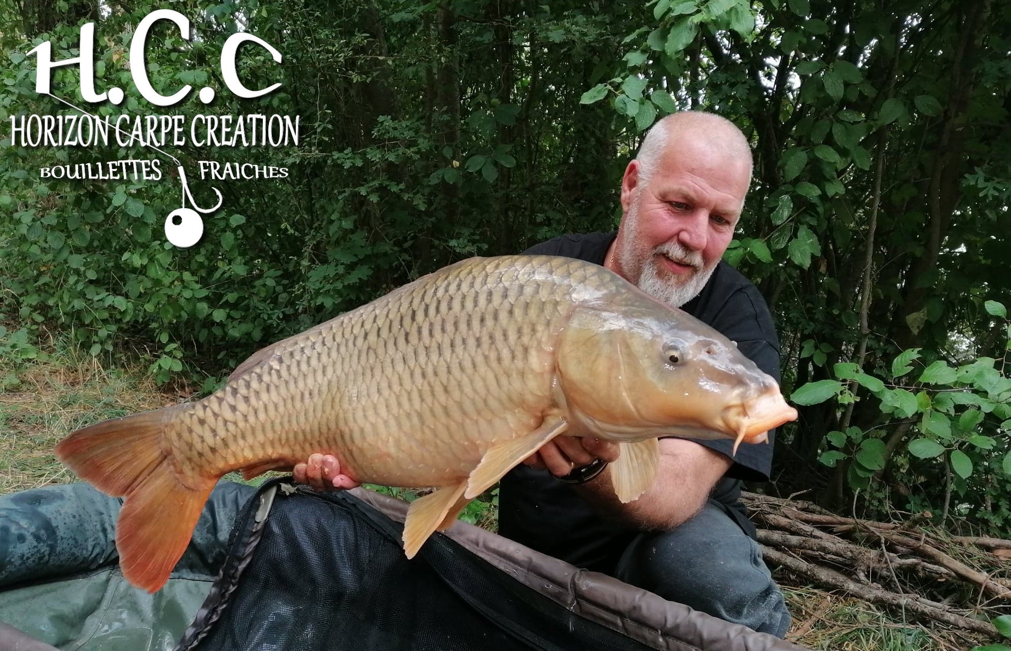 PHILIPPE MONTEGU - HCC