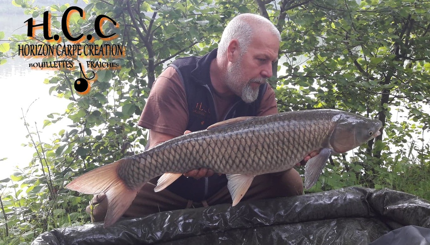 PHILIPPE MONTEGU - HCC