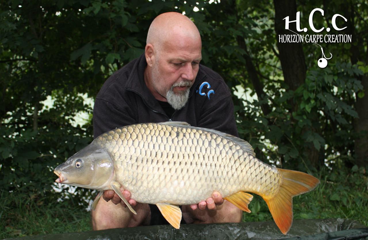 PHILIPPE MONTEGU - HCC