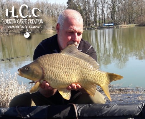 PHILIPPE MONTEGU - HCC
